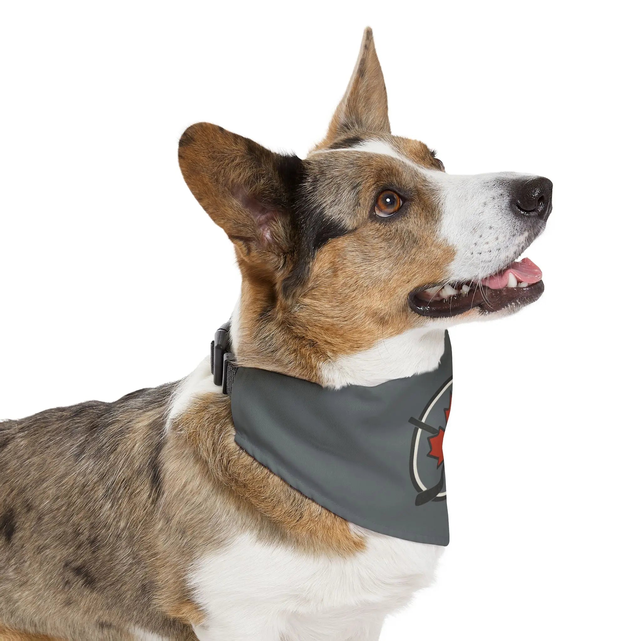 Stylish Pet Bandana Collar, Perfect for Pets, Dog Fashion, Canada Day, Pet Accessories, Holiday Gift, Cute Dog Gear Printify