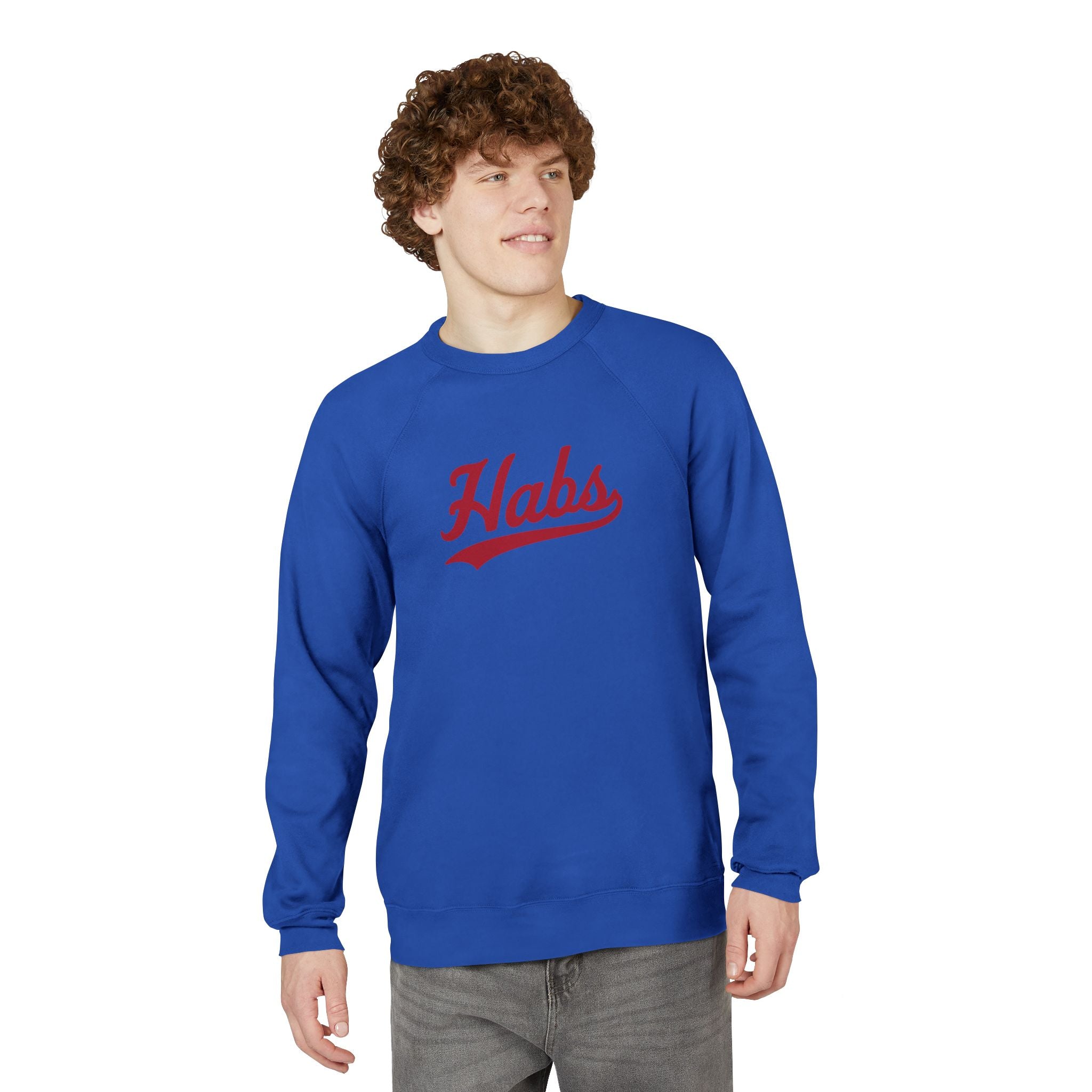HABS Script Raglan Sweatshirt — Vintage Sports Crewneck