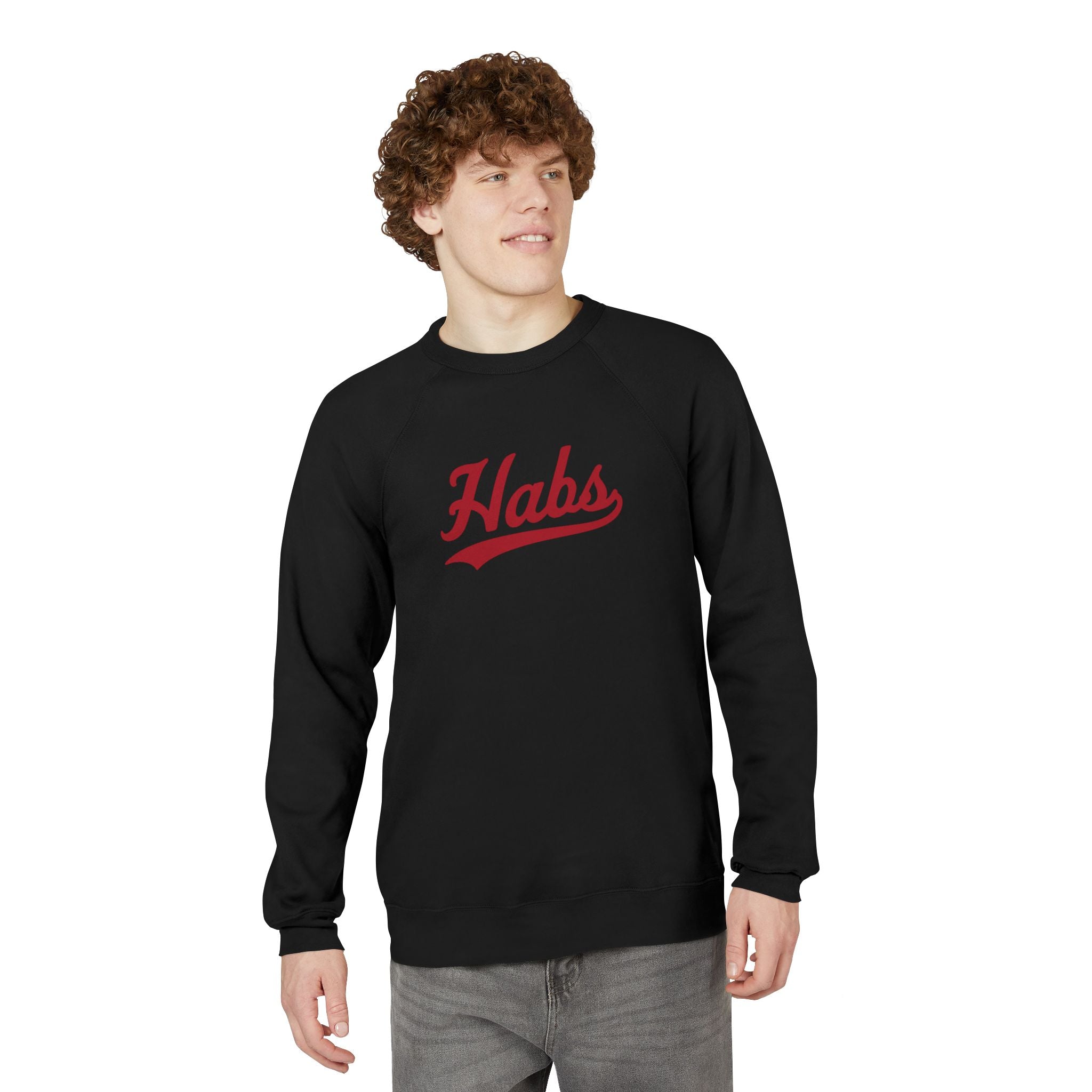 HABS Script Raglan Sweatshirt — Vintage Sports Crewneck